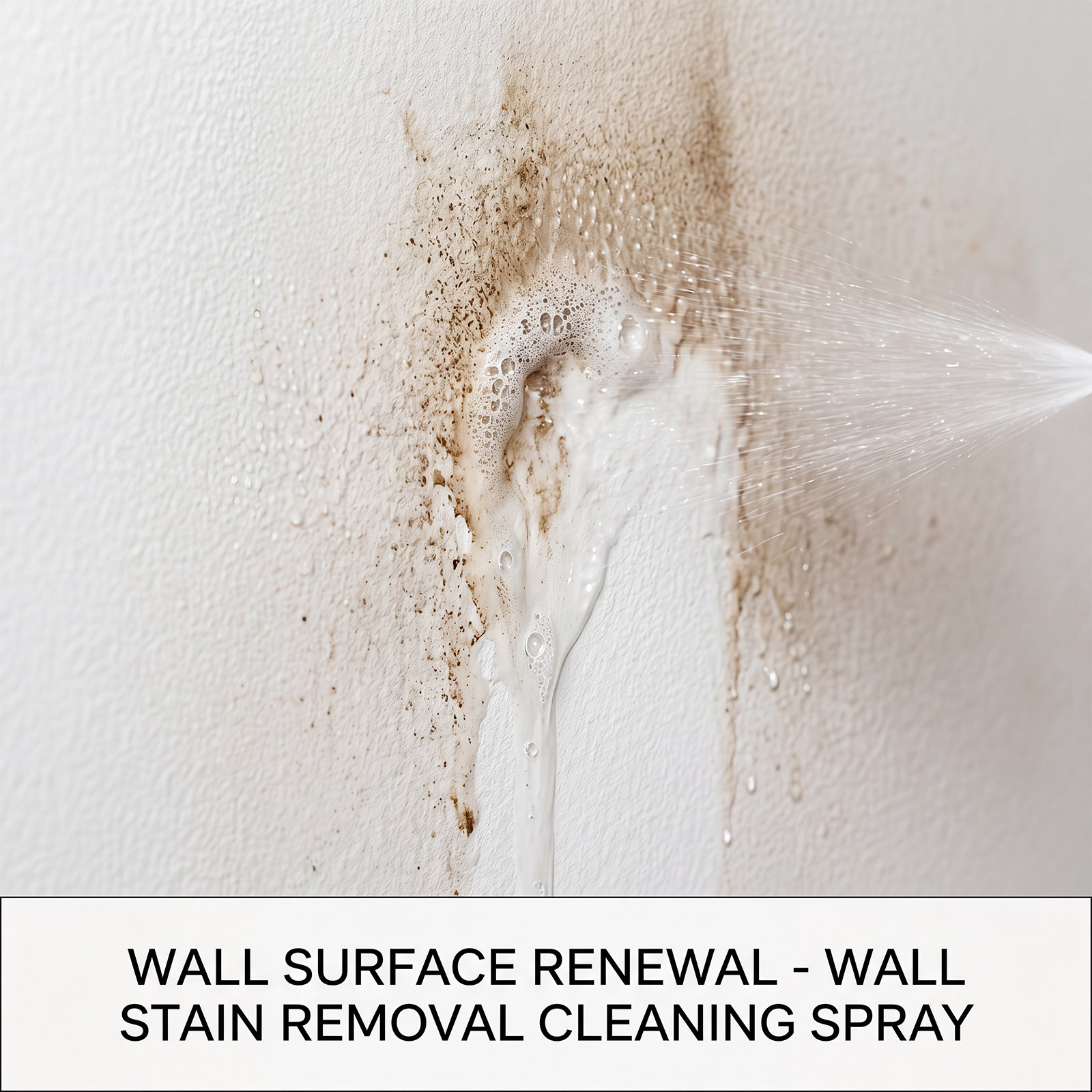 Mildew Remover Wall Spray Clea - огляд і ціна Home Bathroom Cleaner